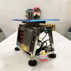 Cân Điện Tử Cân Sầu Riêng Tính Tiền 100kg RJ-IND8006-5 – Body Inox 304 - Cân điện tử Hoàng Gia | Uy tín 10+ năm, Uy Tín, Giá Tốt can ghe dien tu 7 1 - Cân điện tử Hoàng Gia | Uy tín 10+ năm, Uy Tín, Giá Tốt