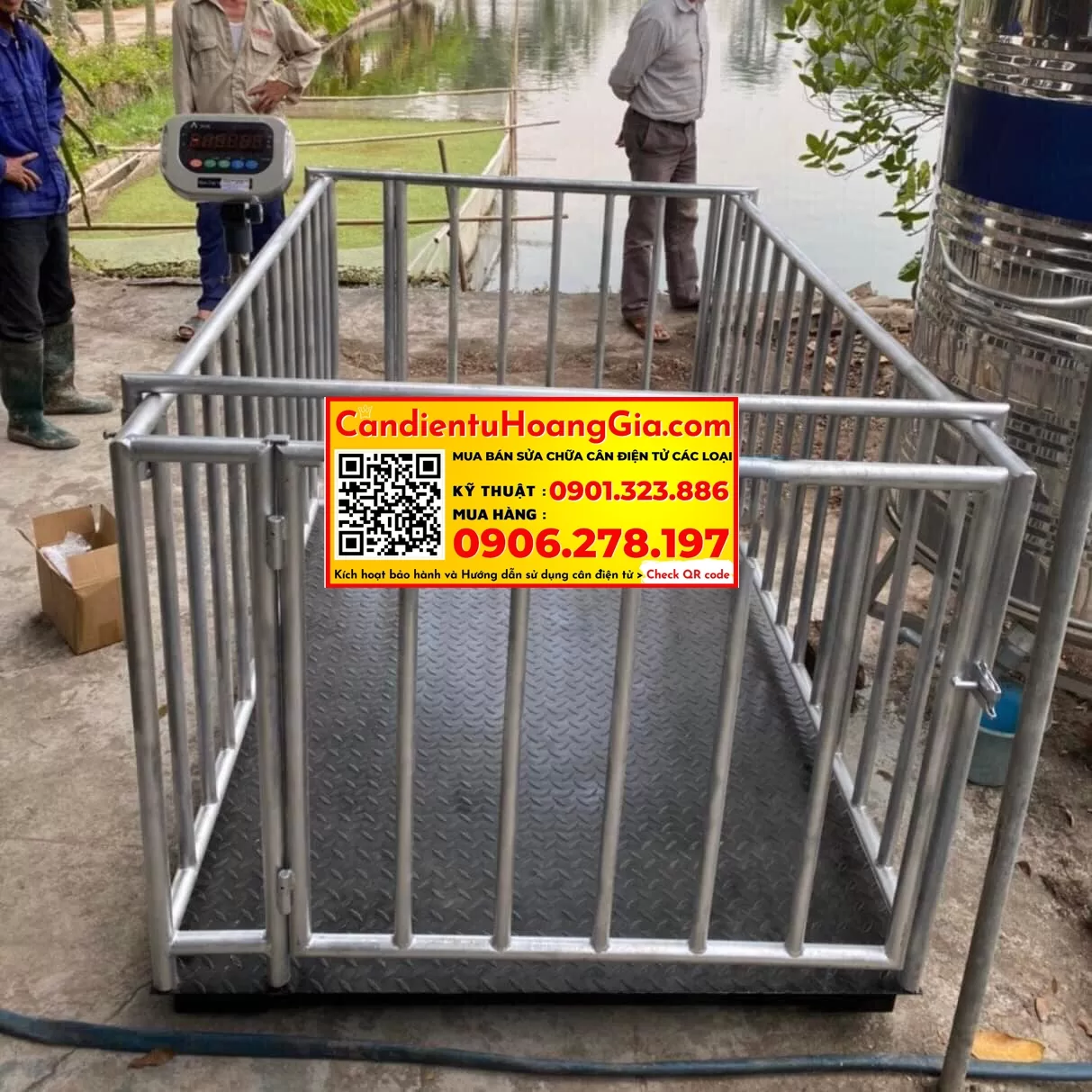 Cân Bò Điện Tử 2 Tấn Có Lồng Là Gì? Tổng Hợp Các Loại Cân Bò, Cấu Tạo, Cách Chọn Mua Và Ứng Dụng - Cân điện tử Hoàng Gia | Uy tín 10+ năm, Uy Tín, Giá Tốt can san dien tu 51 - Cân điện tử Hoàng Gia | Uy tín 10+ năm, Uy Tín, Giá Tốt