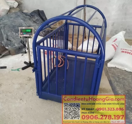 Kết luận và lời khuyên khi mua cân sàn điện tử - Cân điện tử Hoàng Gia | Uy tín 10+ năm, Uy Tín, Giá Tốt can san dien tu 54 - Cân điện tử Hoàng Gia | Uy tín 10+ năm, Uy Tín, Giá Tốt