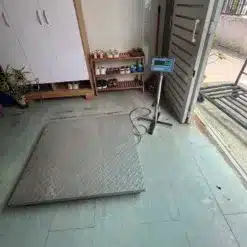 1.png 2K 202608280751 - Cân điện tử Hoàng Gia | Uy tín 10+ năm, Uy Tín, Giá Tốt