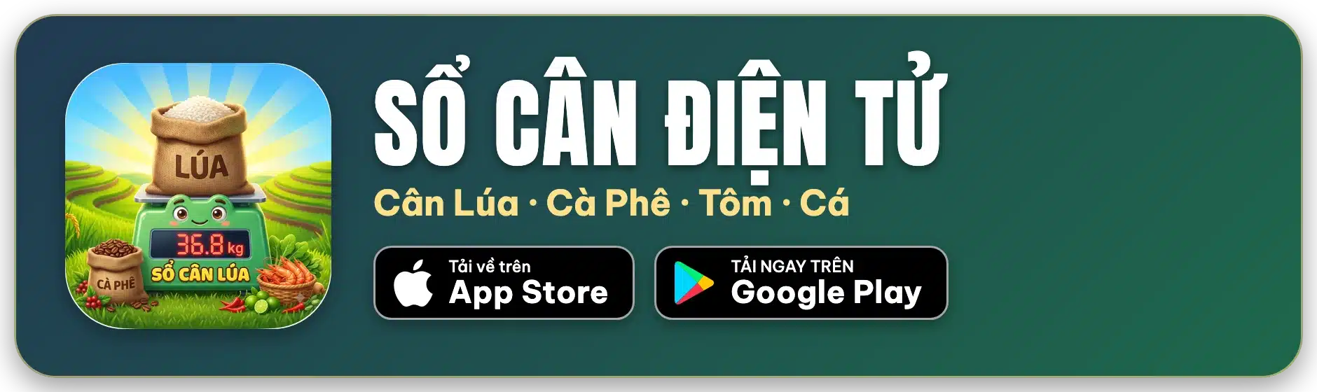 Cài Đặt App Sổ Cân Điện Tử: 8 Bước Chi Tiết, Dễ Dàng 2026 - Cân điện tử Hoàng Gia | Uy tín 10+ năm, Uy Tín, Giá Tốt App Sổ Cân Điện Tử – cân lúa, cà phê, tôm, cá, nối cân Bluetooth